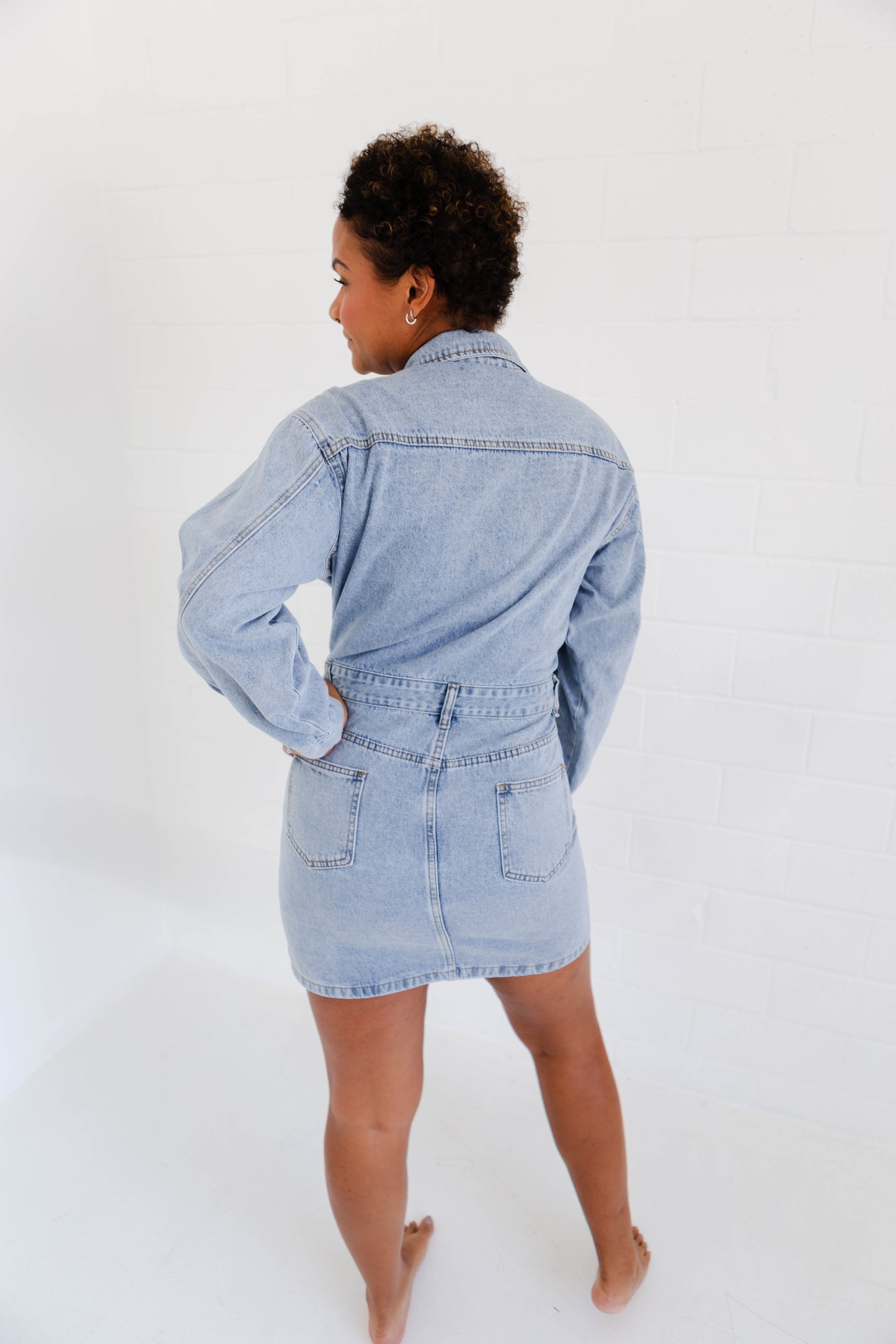 Denim Long Sleeve Utility Dress